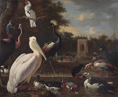 Melchior de Hondecoeter A Pelican and other exotic birds in a park France oil painting art